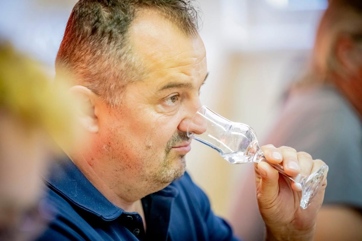Nagy Botond nosing a glass while judging